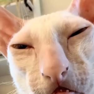 not